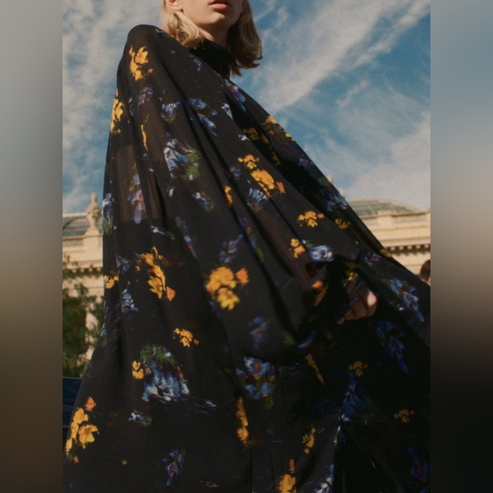 Hm studio collection floral
Patterned chiffon dress - Picture 3 of 5